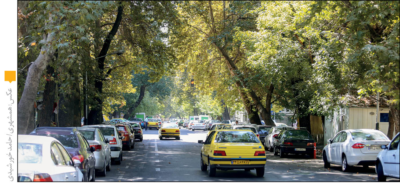 درختان خشک خیابان ایتالیا «رفع خطر» شدند