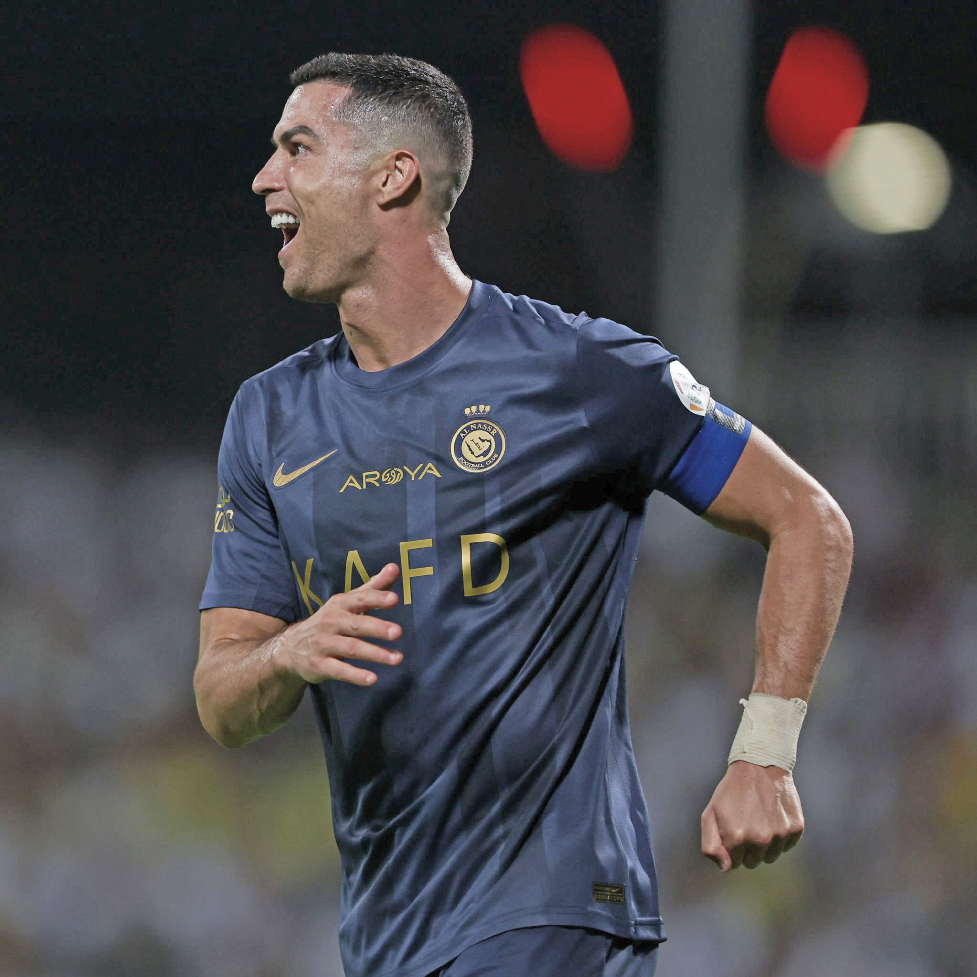 برگ تازه کتاب گینس