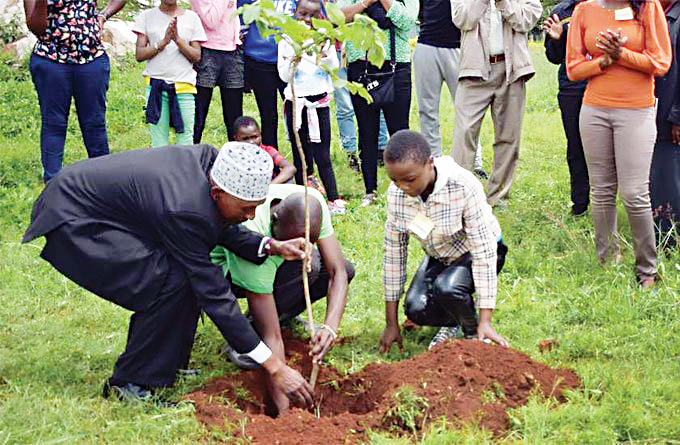 100میلیون اصله نهال یک گام کوچک در مسیر یک ‌تریلیون درخت