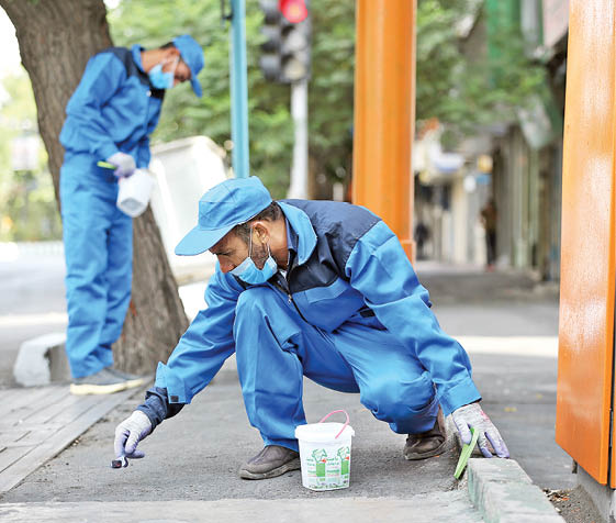 جنگ با موش‌های شهر ادامه دارد