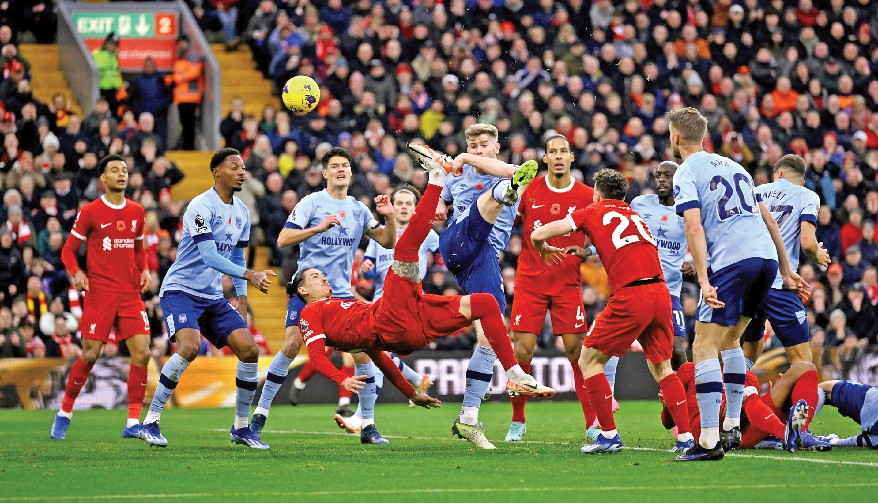 شیر در خانه، موش در خانه دیگران