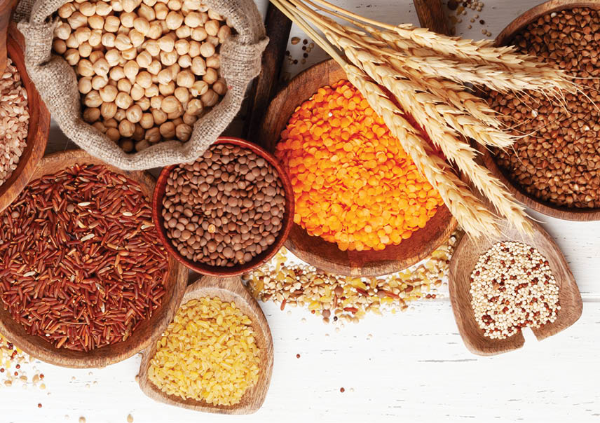 فائو در جدیدترین آمار گزارش داد