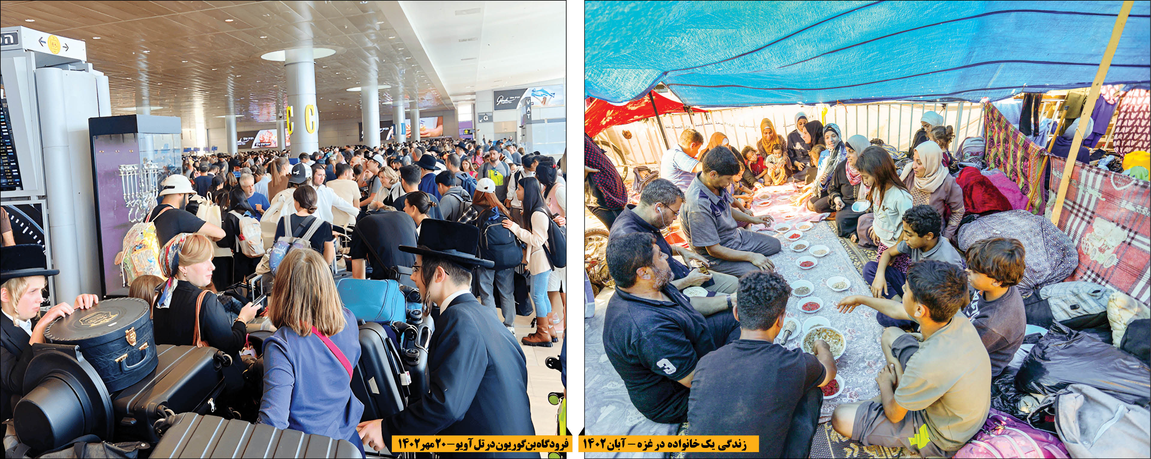 ایستاده در سرزمین مادری