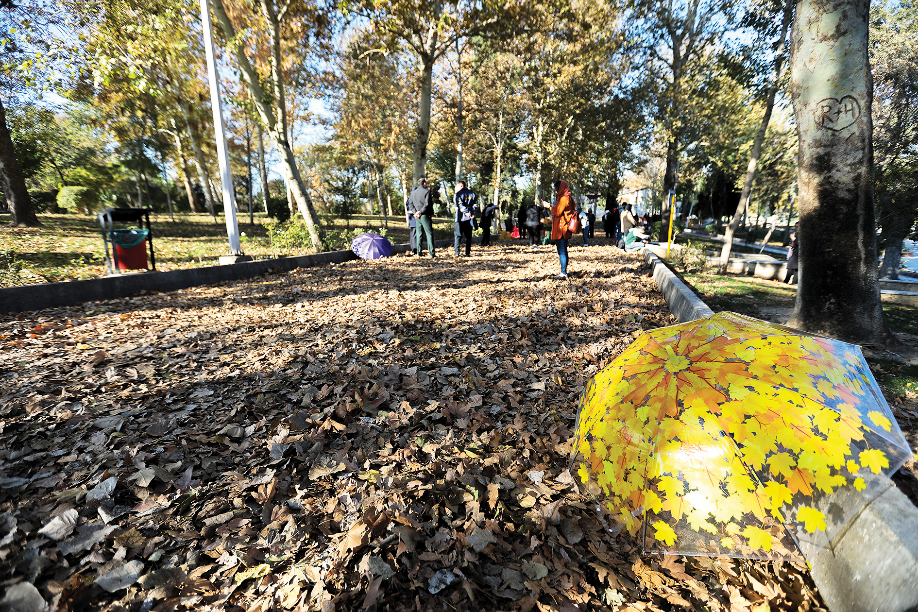 برگ‌های پاییزی در بعثت