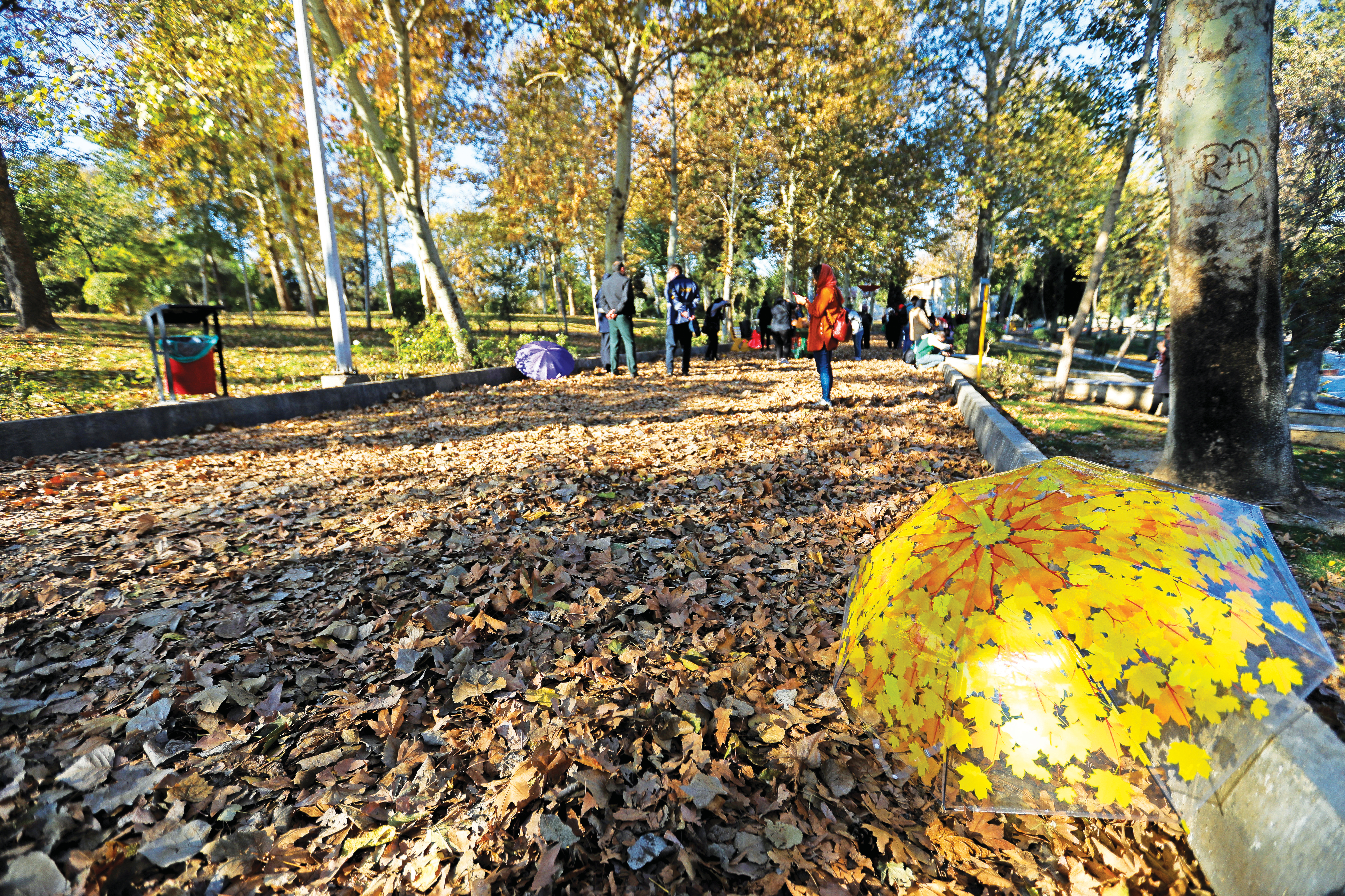 سمفونی برگ های پاییزی در بوستان بعثت