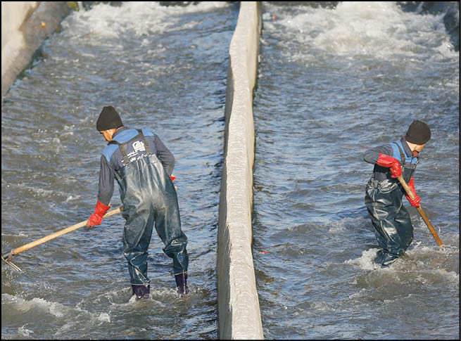 لایروبی انهار و رودخانه‌ها برای مقابله با آب‌گرفتگی‌ها