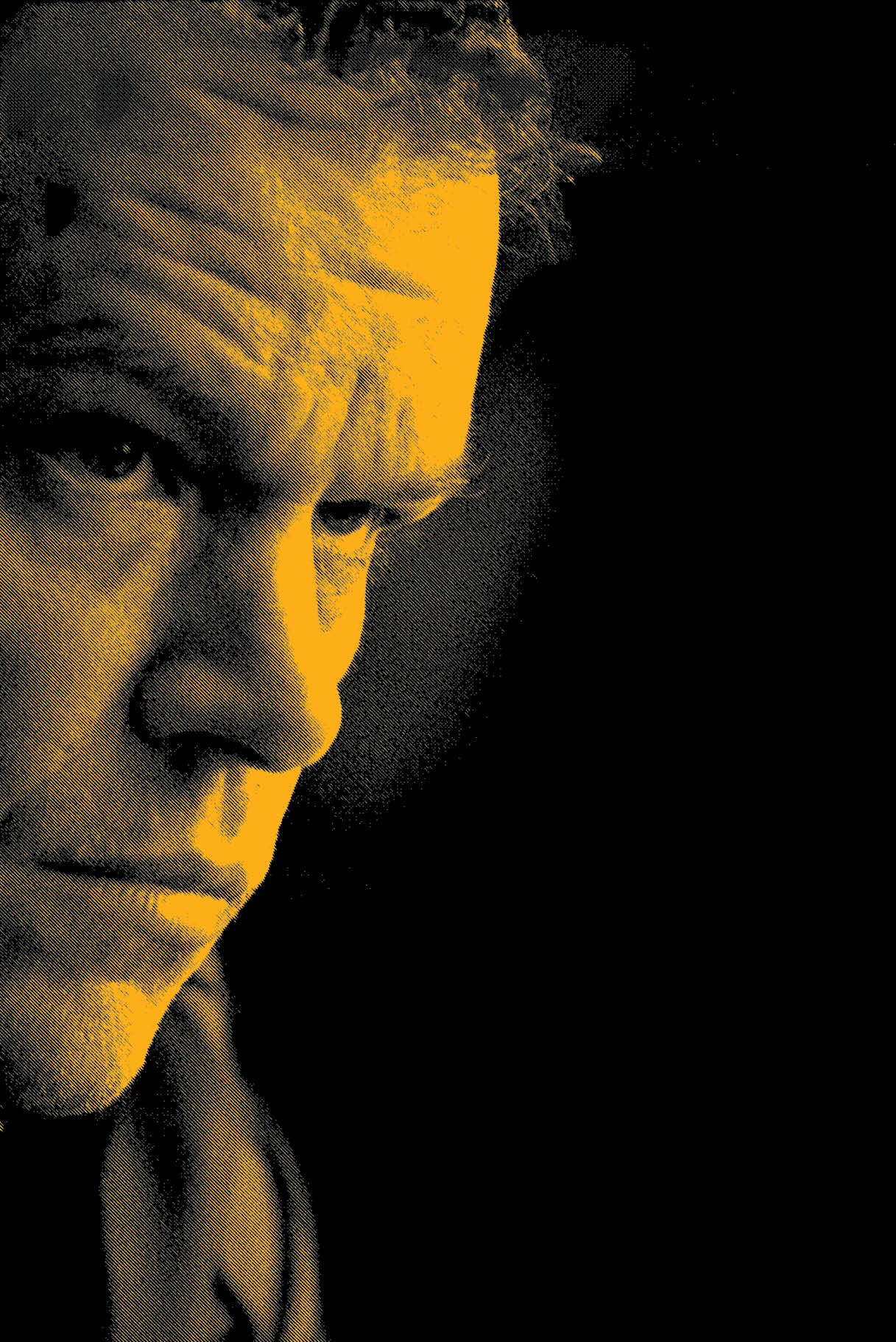 بازگشت بورن