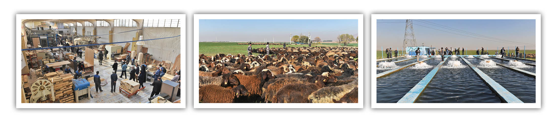 گفت و گو با رحیم مطهرنژاد، مدیرعامل بنیاد تعاون زندانیان کشور درباره اشتغال زندانیان