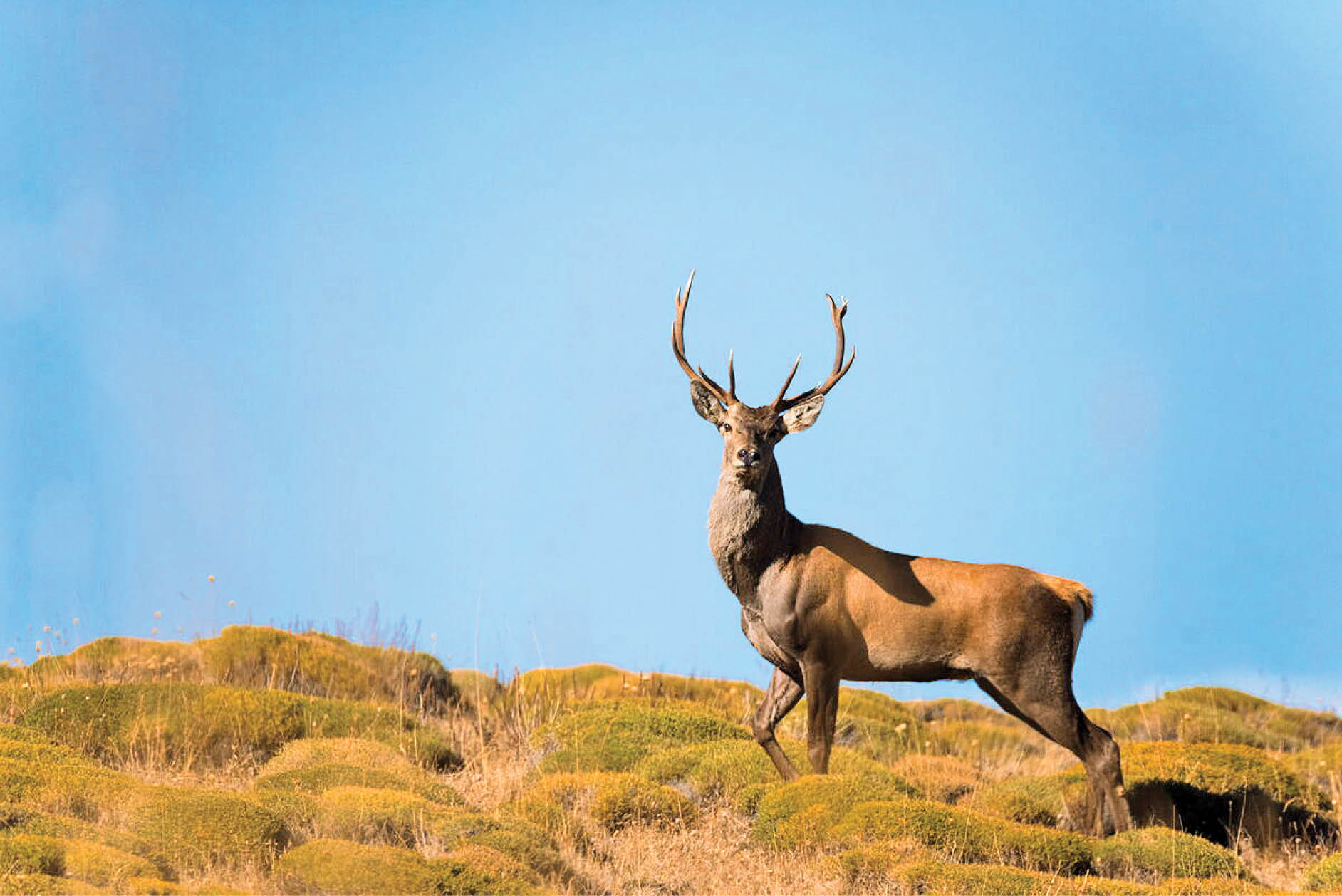بکر، دیدنی و حفاظت‌شده