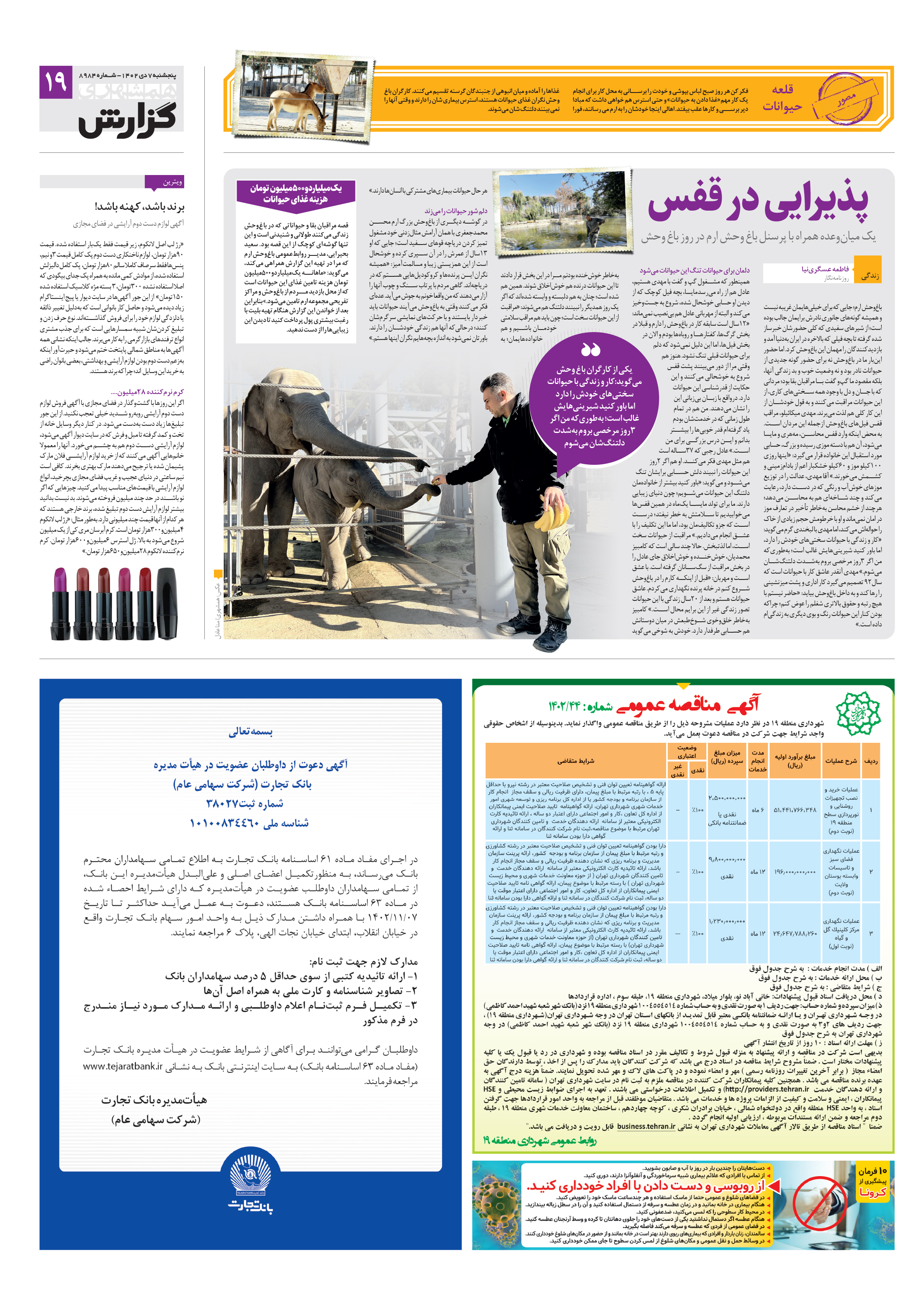 همشهری گزارش