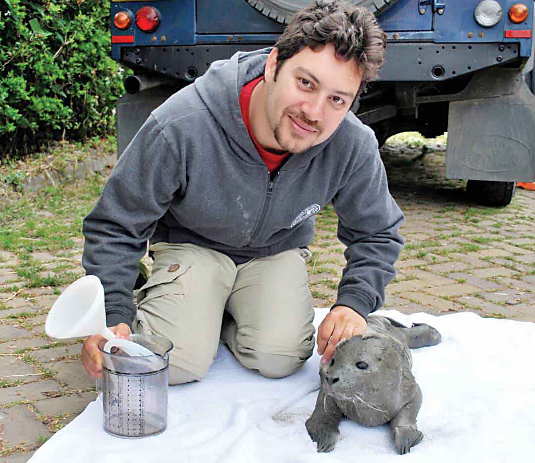 مذاکره با همسایه‌ها برای نجات فوک‌ها