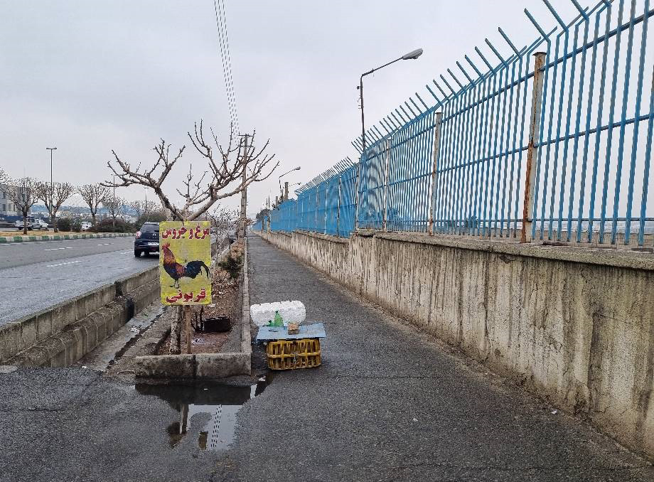 خون برای پلاک نو