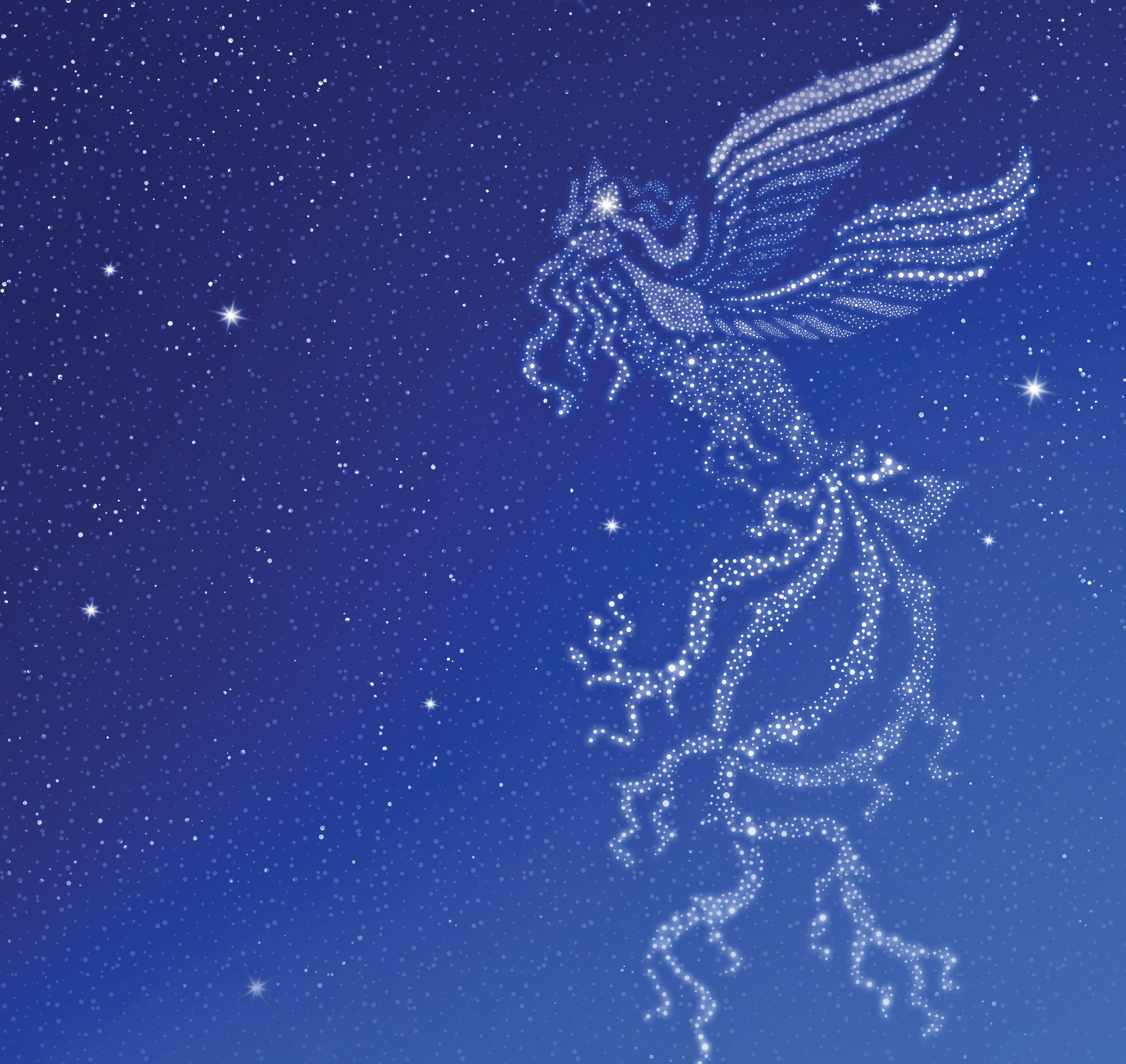 راهنمای فیلم‌های چهل‌ودومین جشنواره فیلم فجر