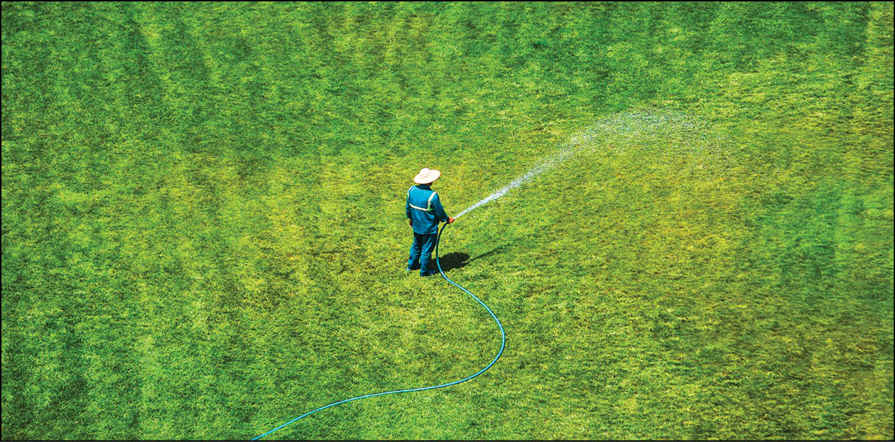 آبیاری فضای سبز تهران هوشمند می‌شود