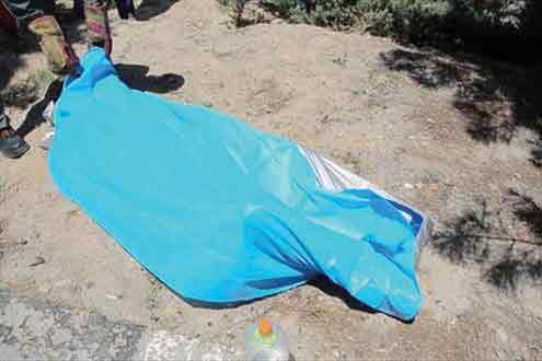 قتل در پارک جنگلی