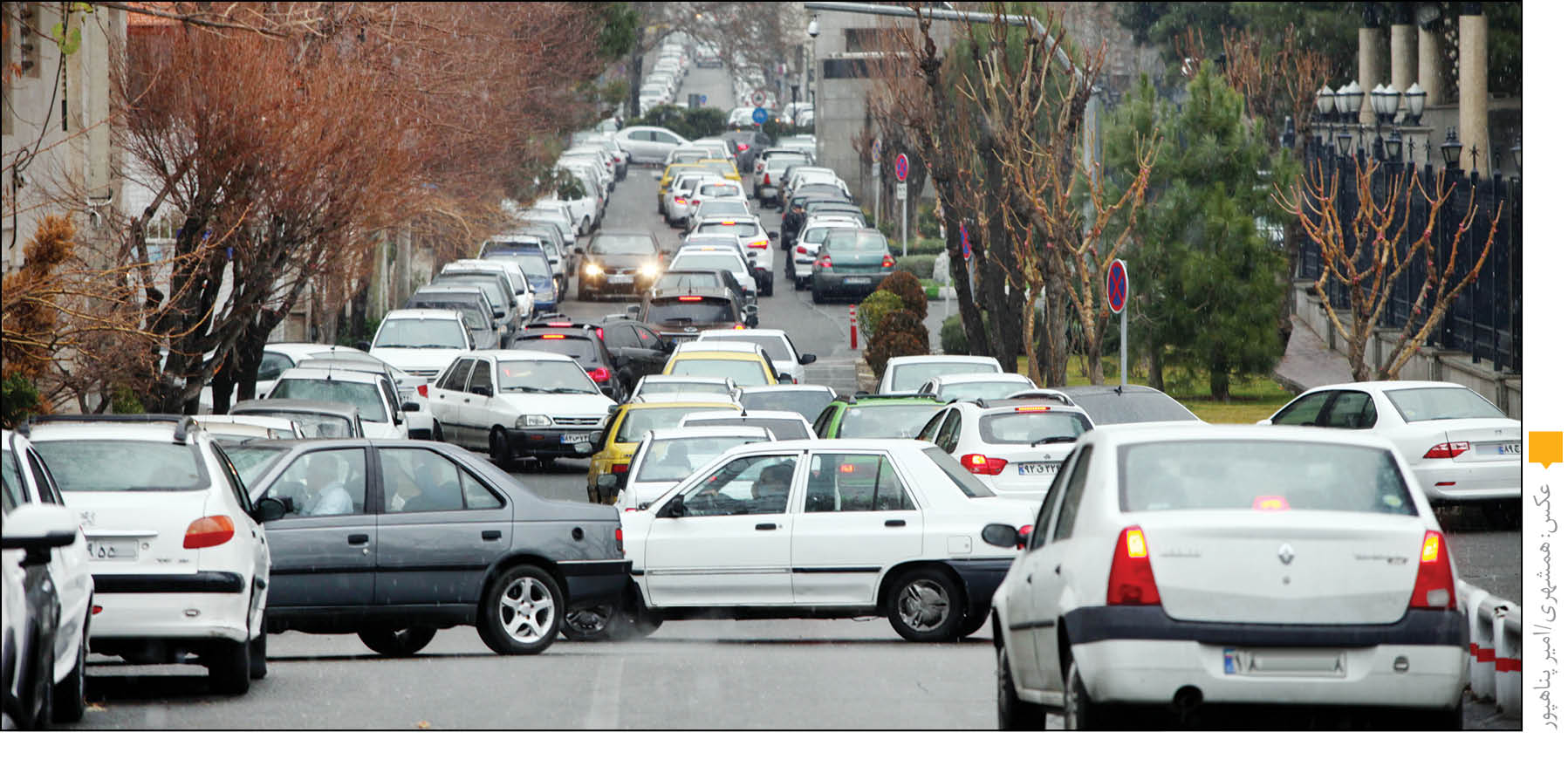 مهمانان قانون‌شکن