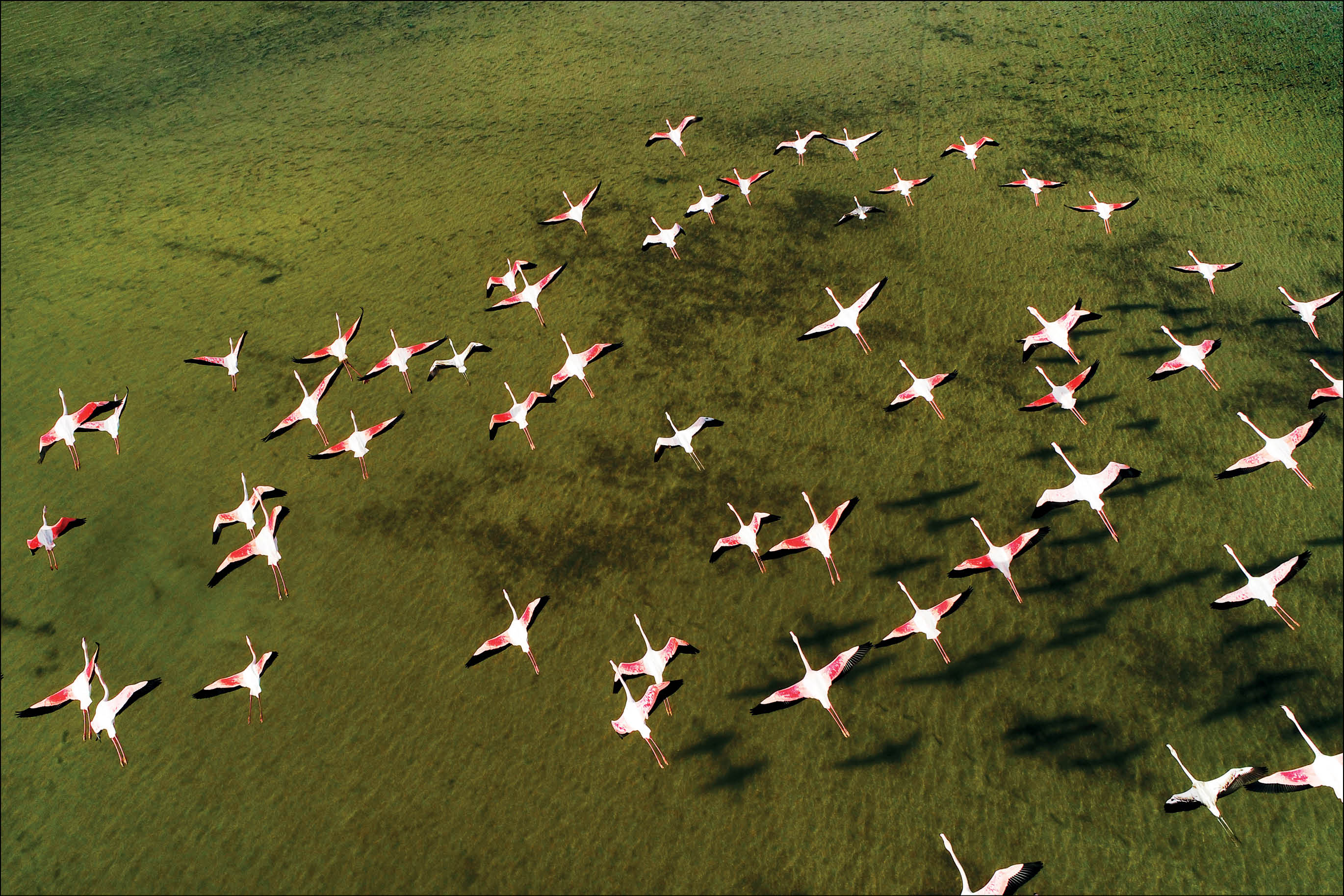 دشمنان طبیعت را با پهپاد ردیابی می‌کنیم