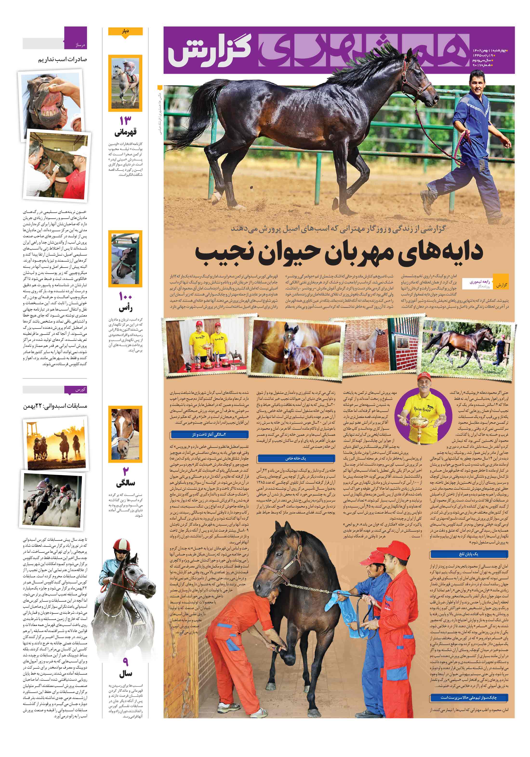 همشهری گزارش