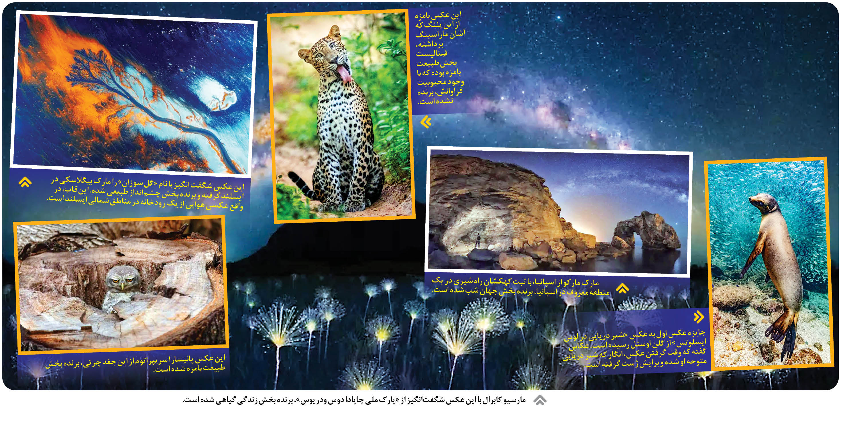 جهان با من بخند