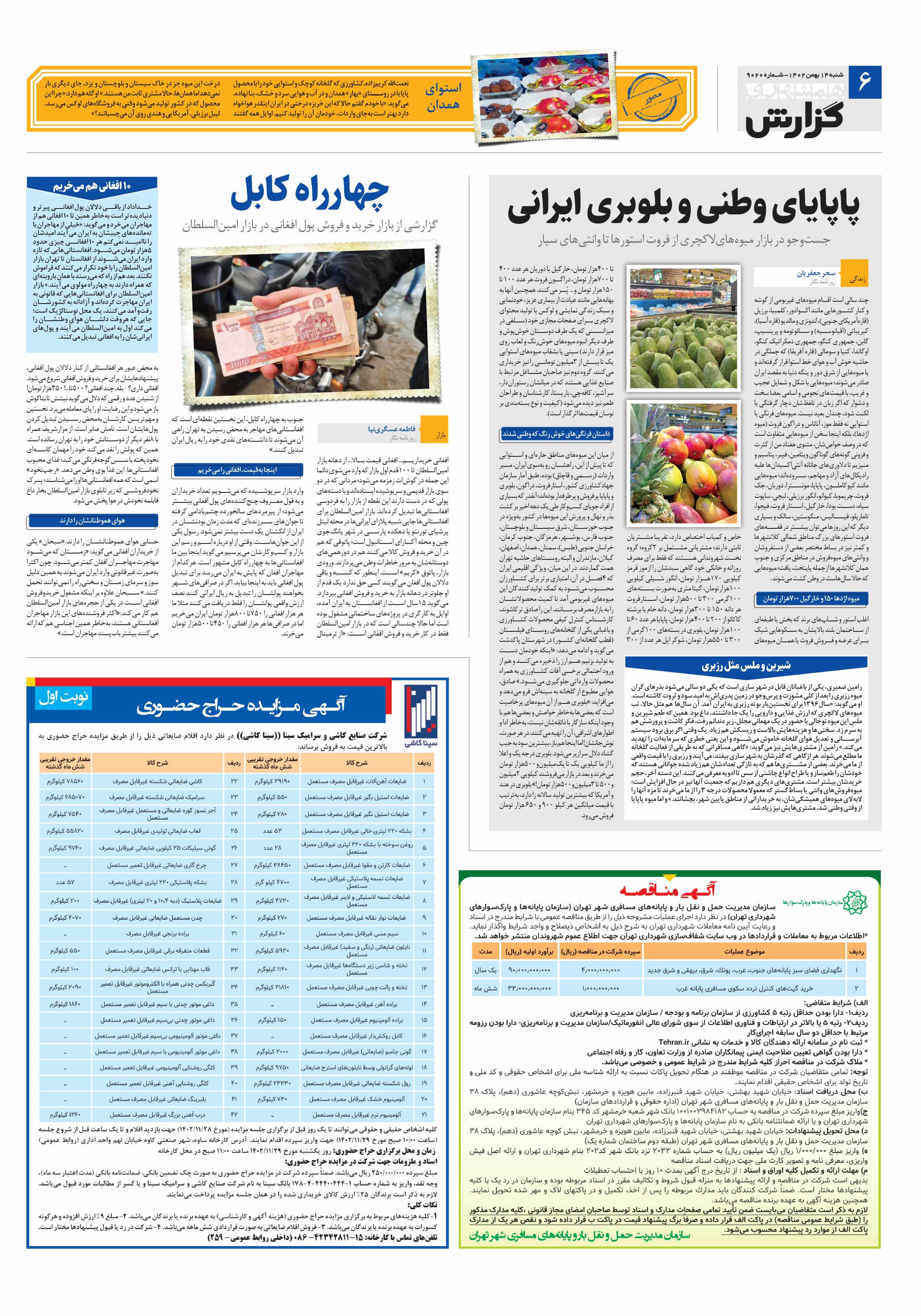 همشهری گزارش