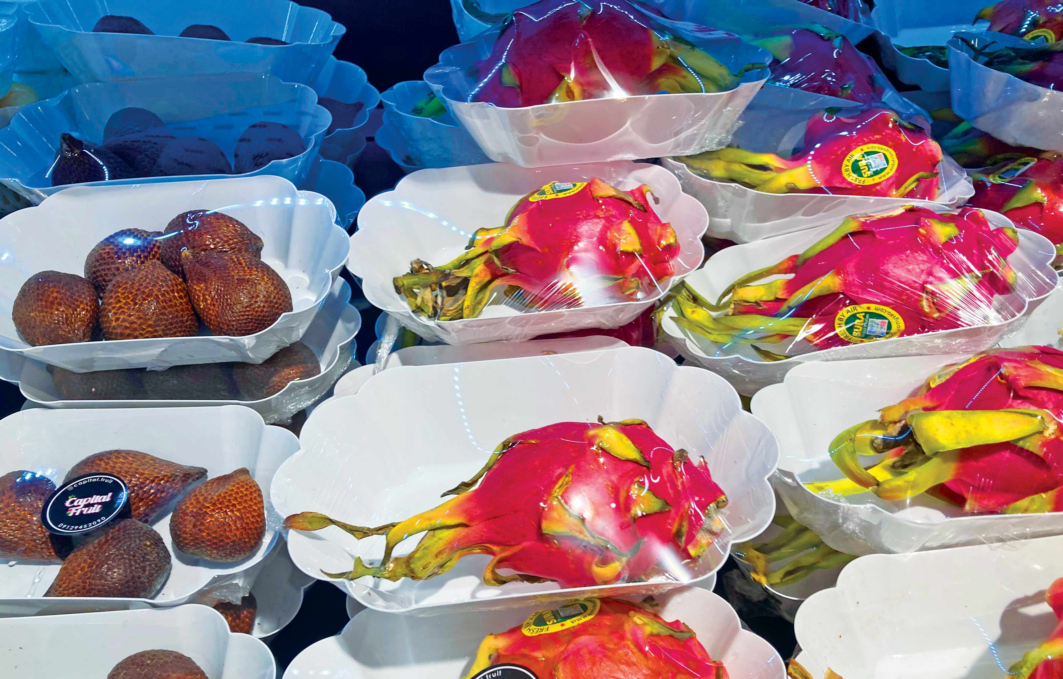 استوای همدان