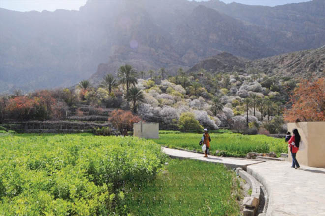 «عمان»، این‌بار در ایران