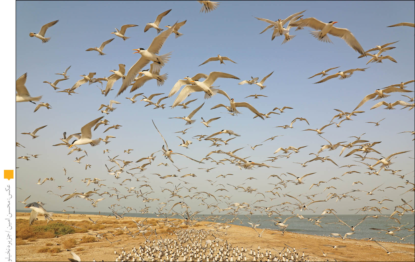 حساب و کتاب‌ هزینه‌های سفر به جنوب