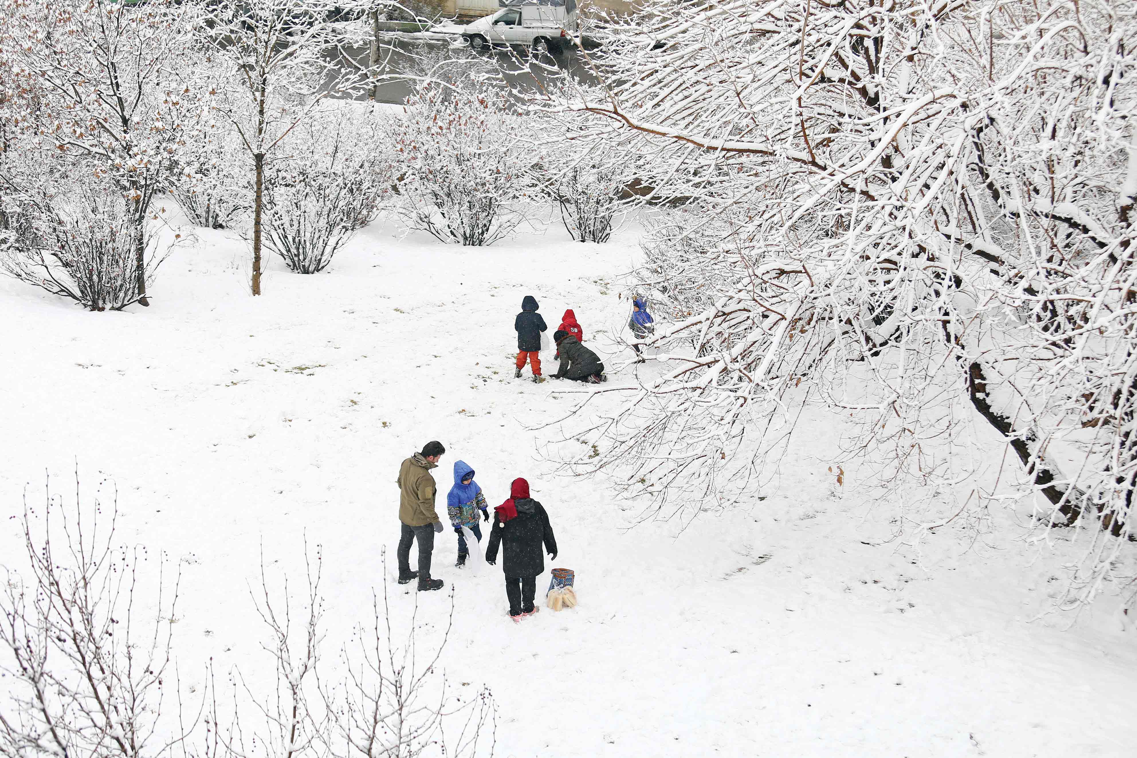 یک راهنمای جمع‌و‌جور برای تفریح در روزهای برفی