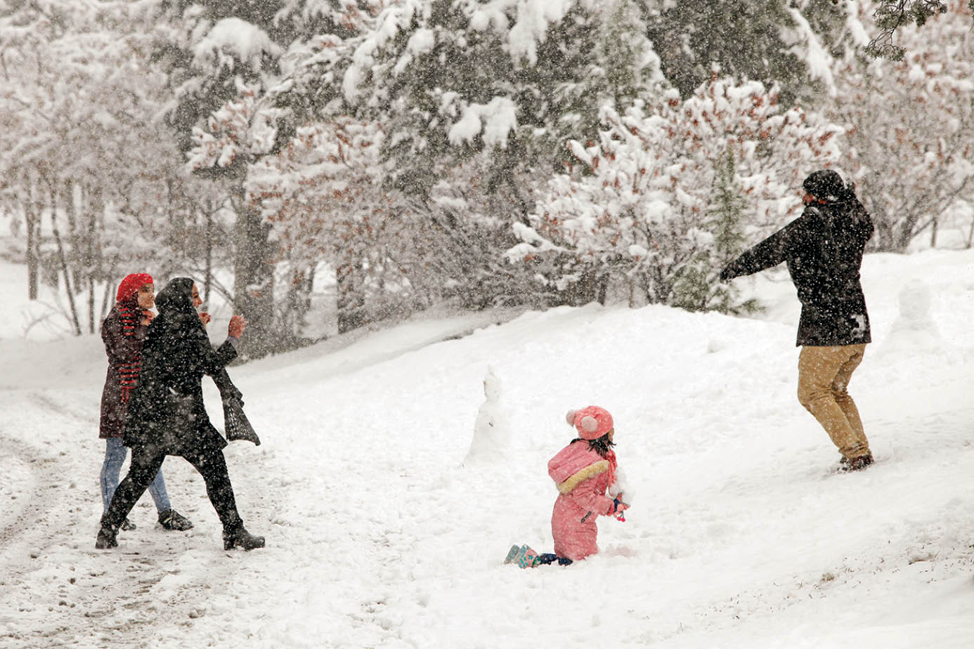 برخی بوستان‌های شهر، پاتوق‌های خوبی برای برف بازی هستند