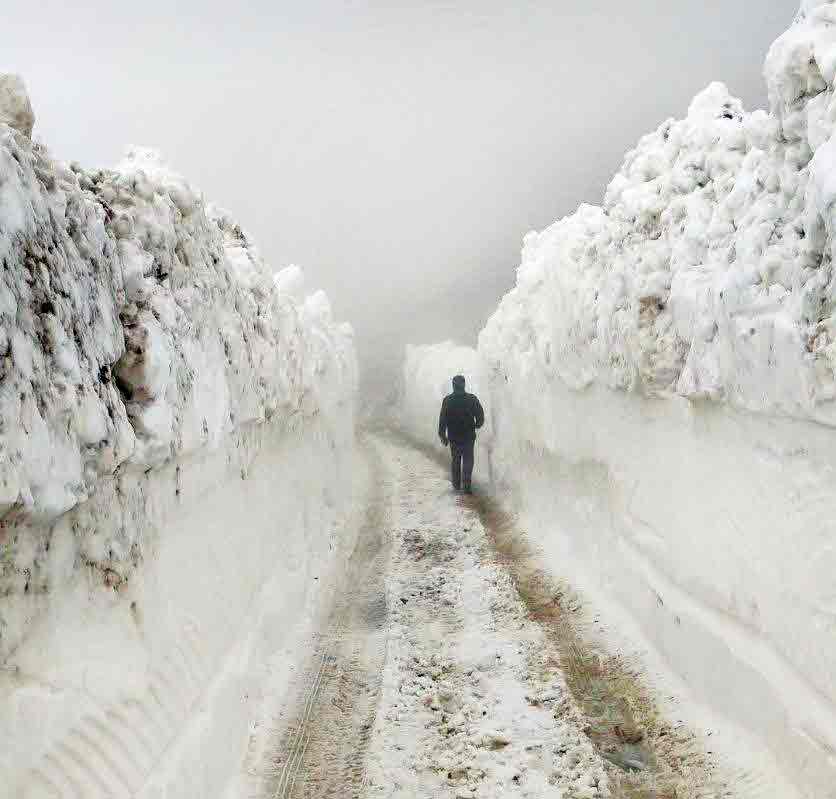 بهشت زمستانی