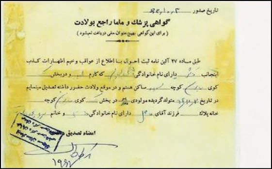 پسرم عقب مانده نبود