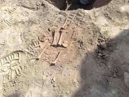 پای مافیا در میان است