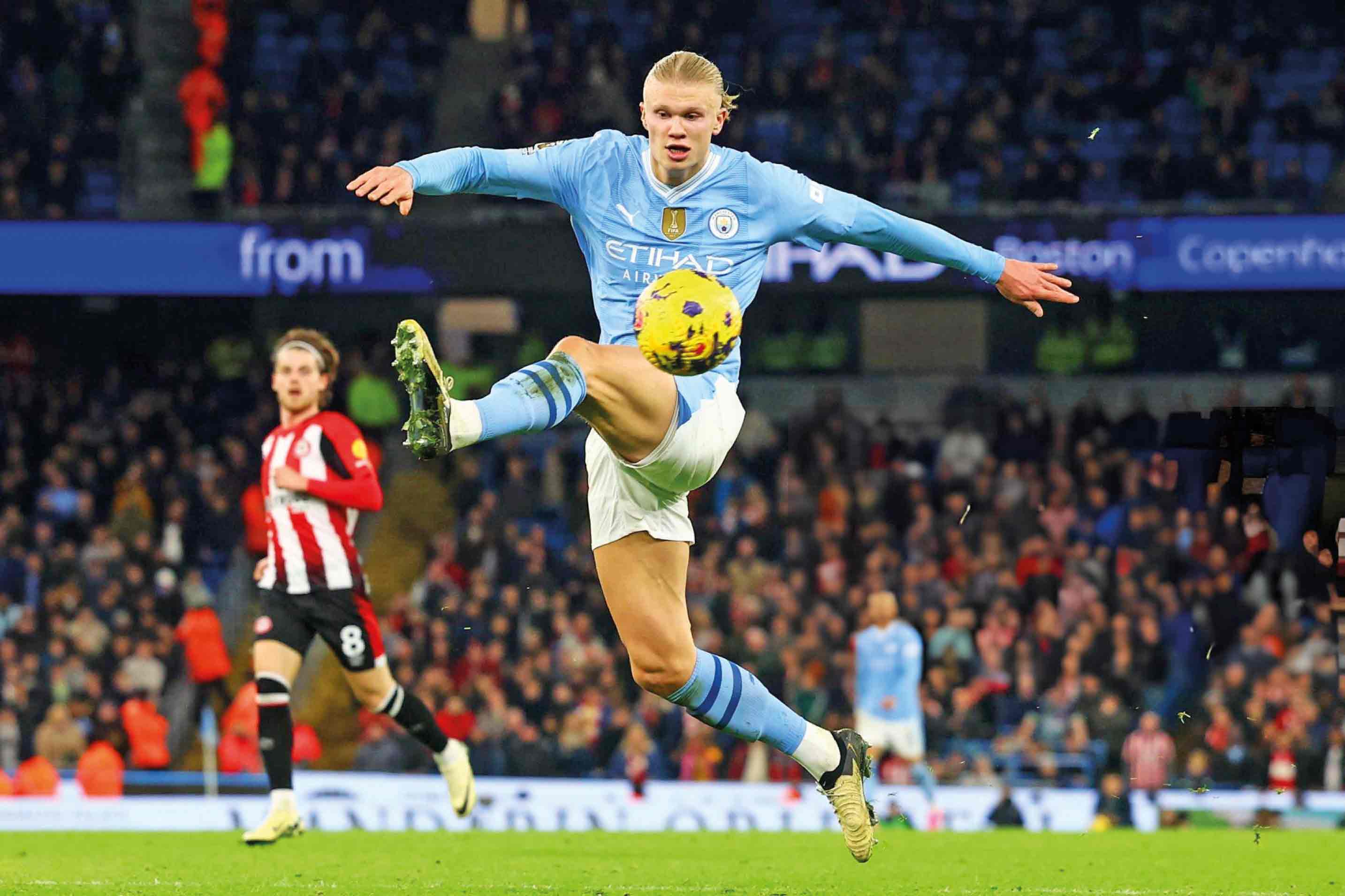 همه را از دم تیغ گذراند