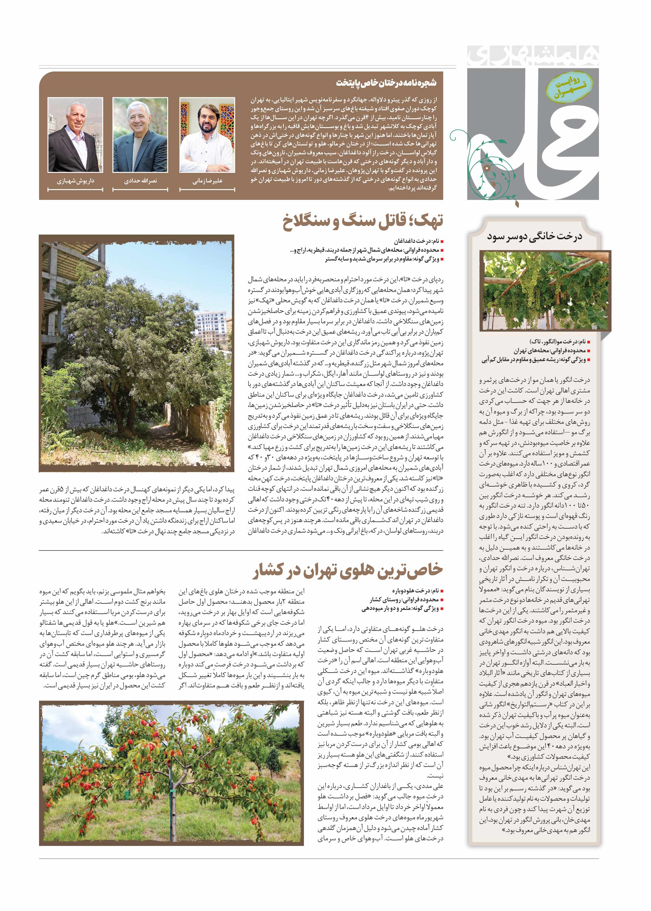 همشهری محله2