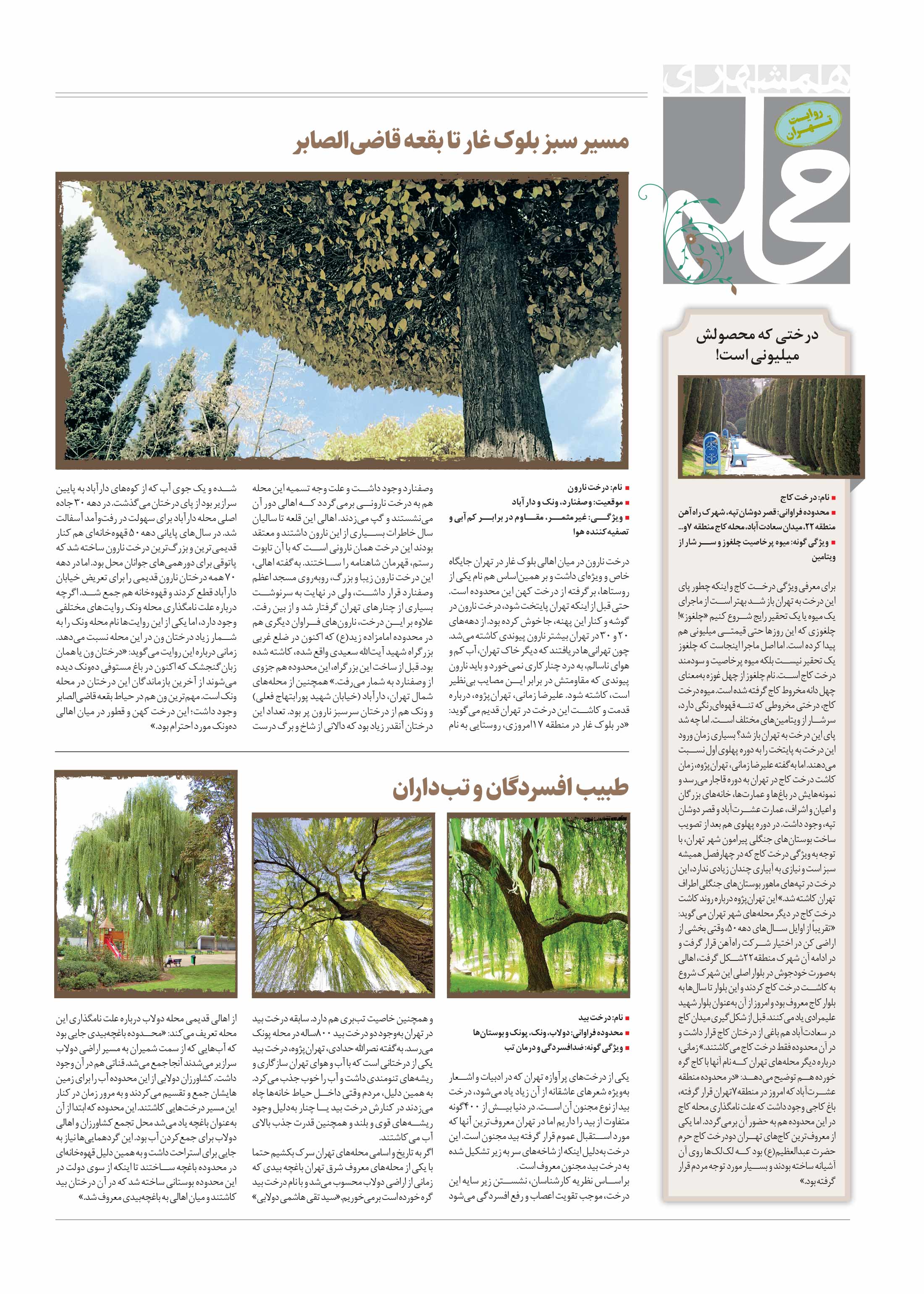 همشهری محله4