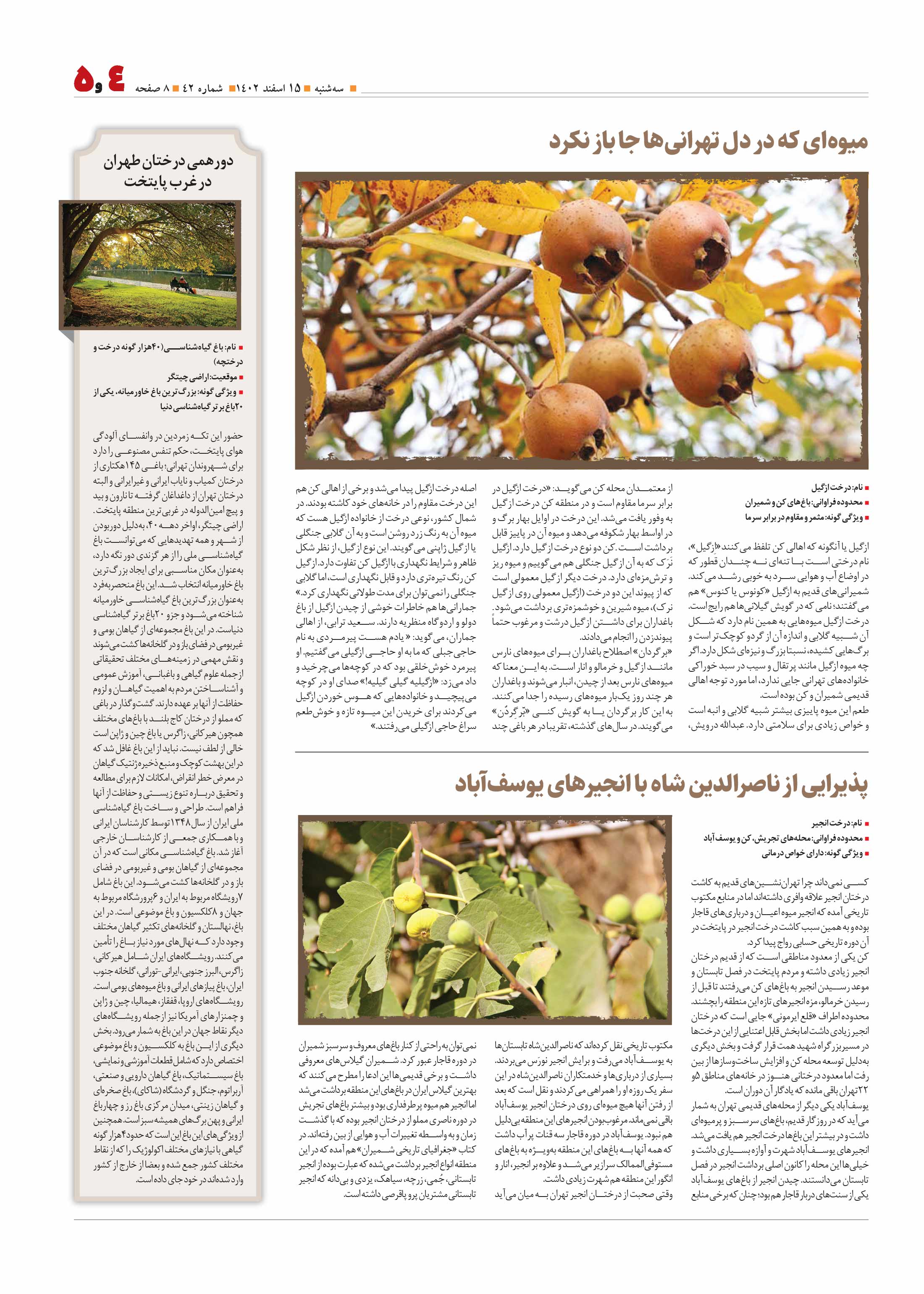 همشهری محله5