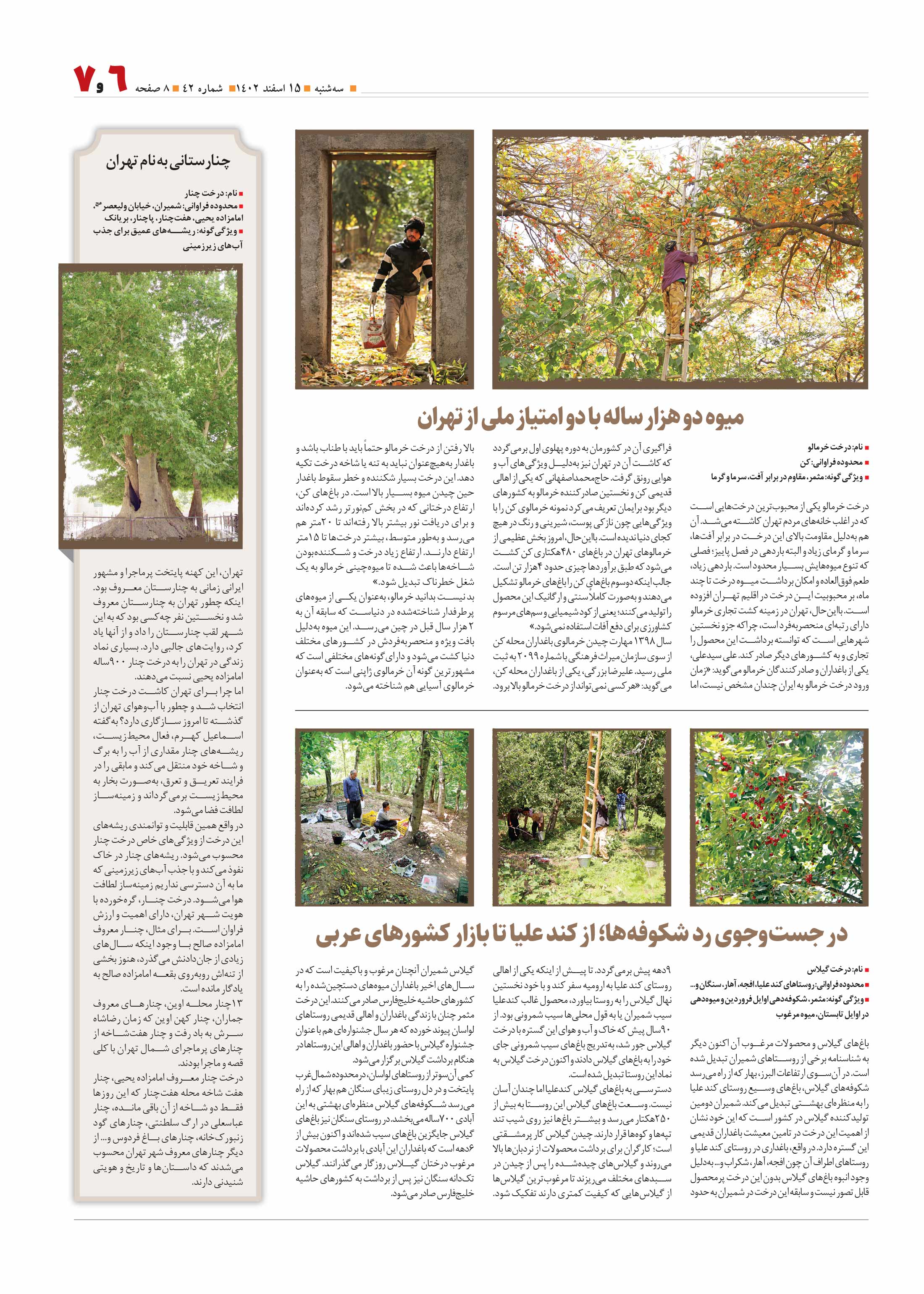 همشهری محله7