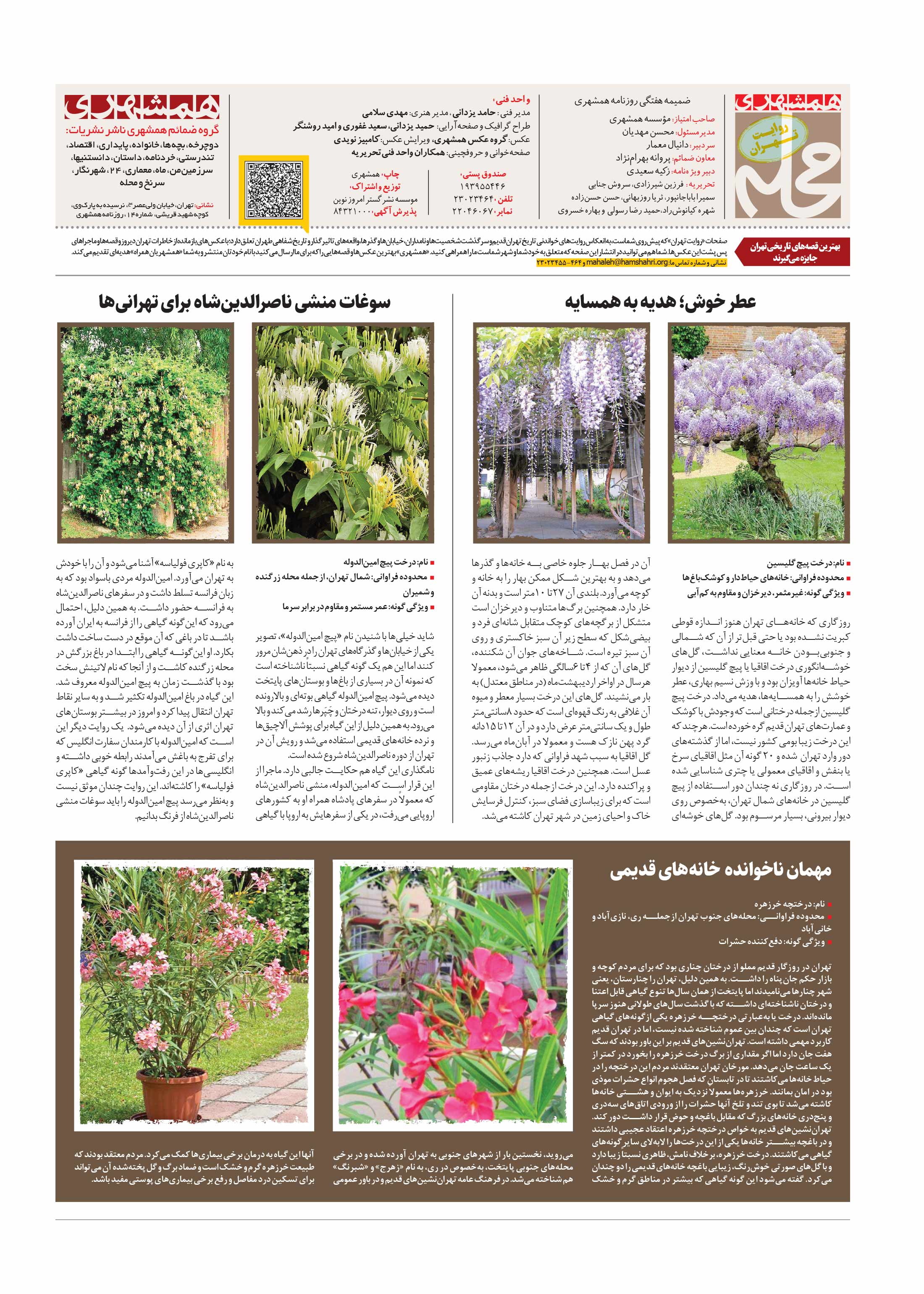 همشهری محله8