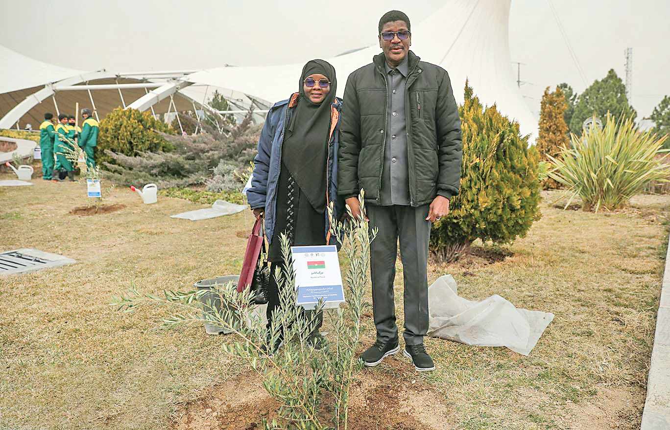 درخت‌کاری دیپلماتیک