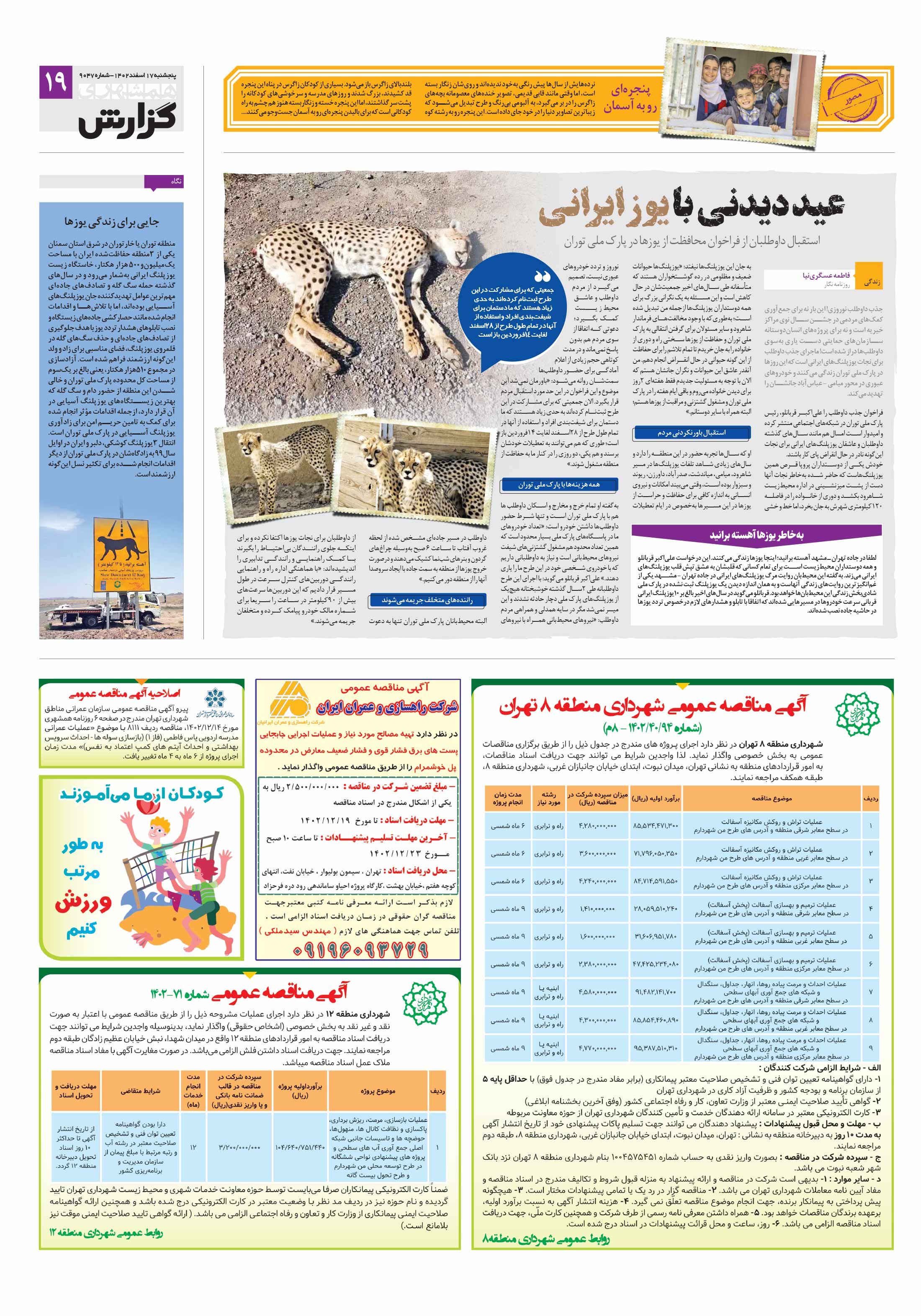 همشهری گزارش