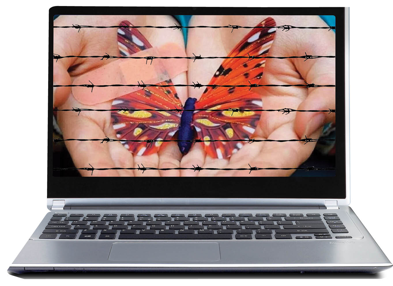 آخرین پانسمان برای پروانه‌ای‌ها