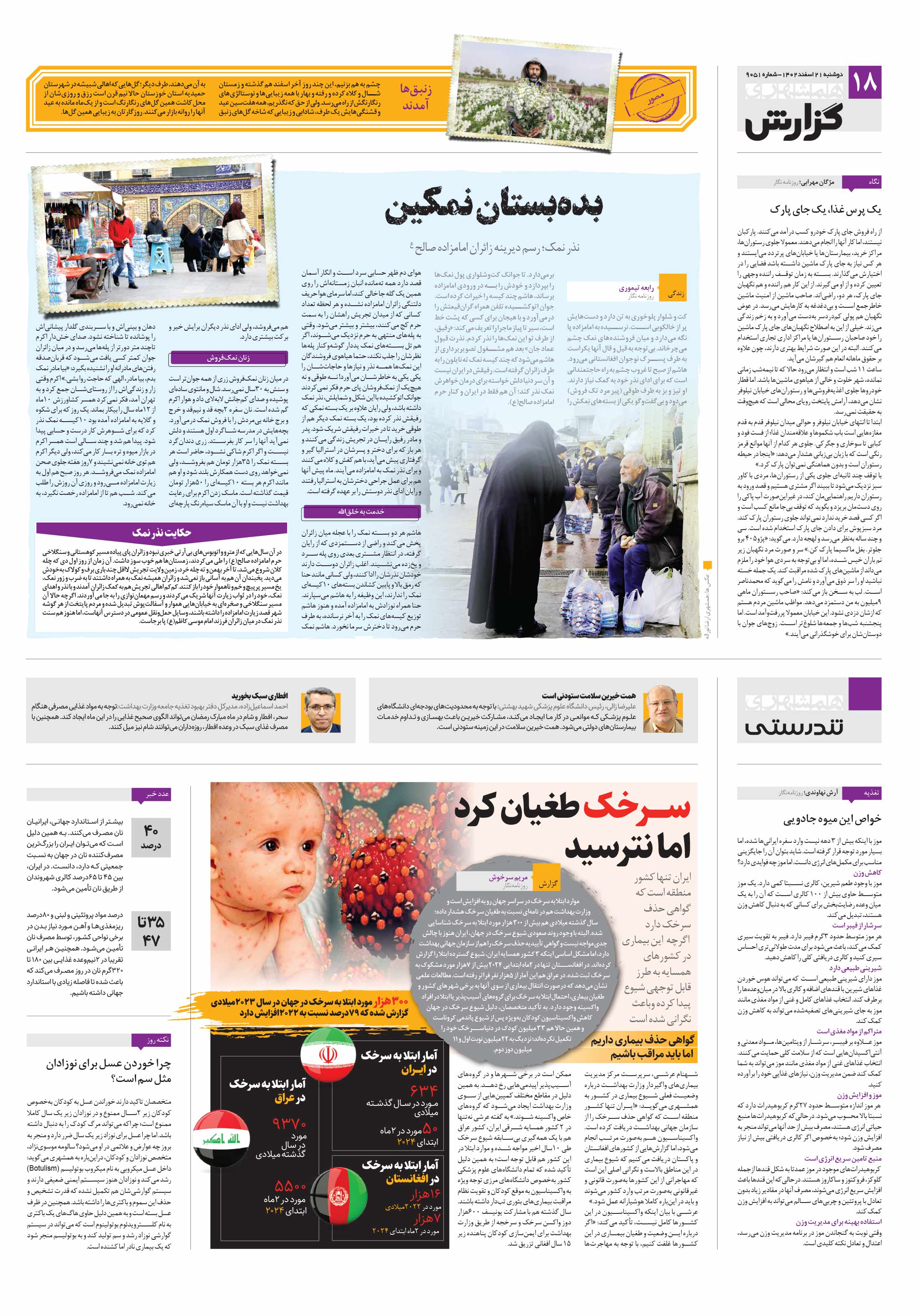 همشهری گزارش