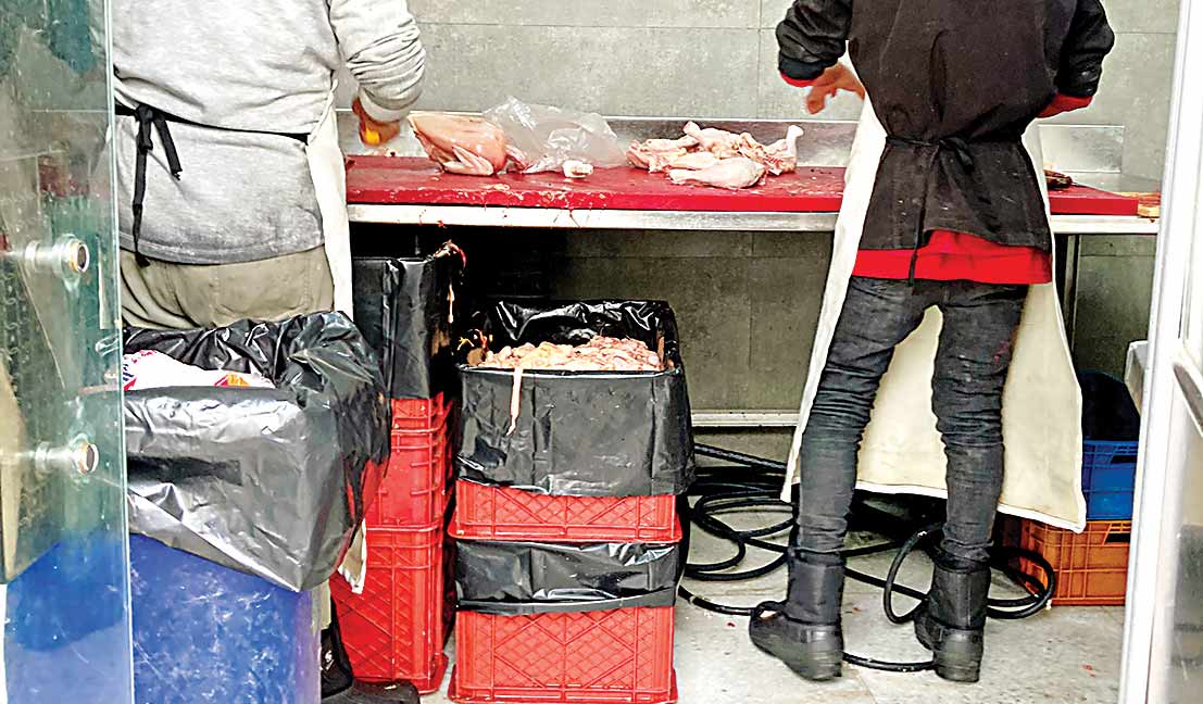 آشغال مرغ‌ها