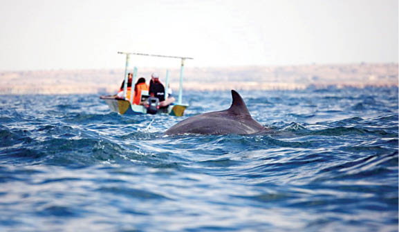 جزیره هنگام