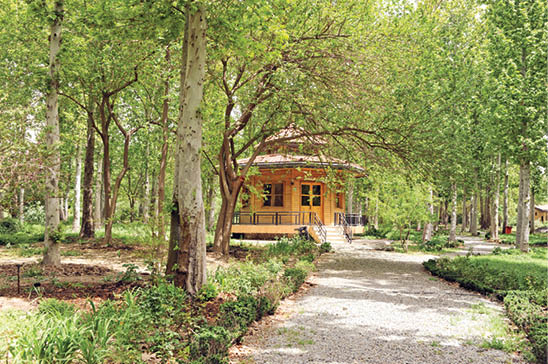 باغ گیاه‌شناسی ملی ایران