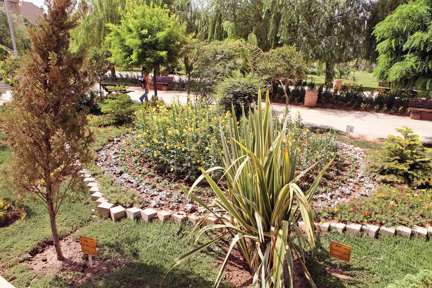 گشت و‌گذار در بوستان‌هایی که جاذبه متفاوت اما درمانی دارند