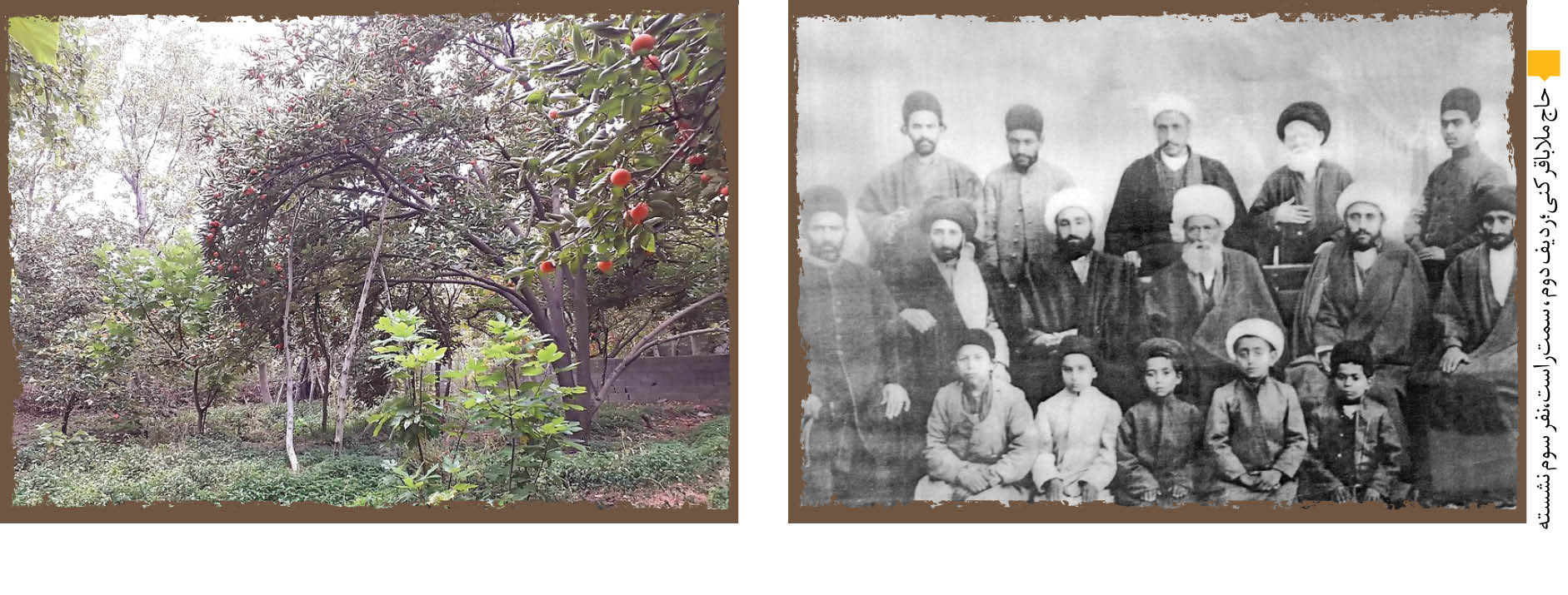 ماجرای باغی که خارج از نوبت آبیاری شد