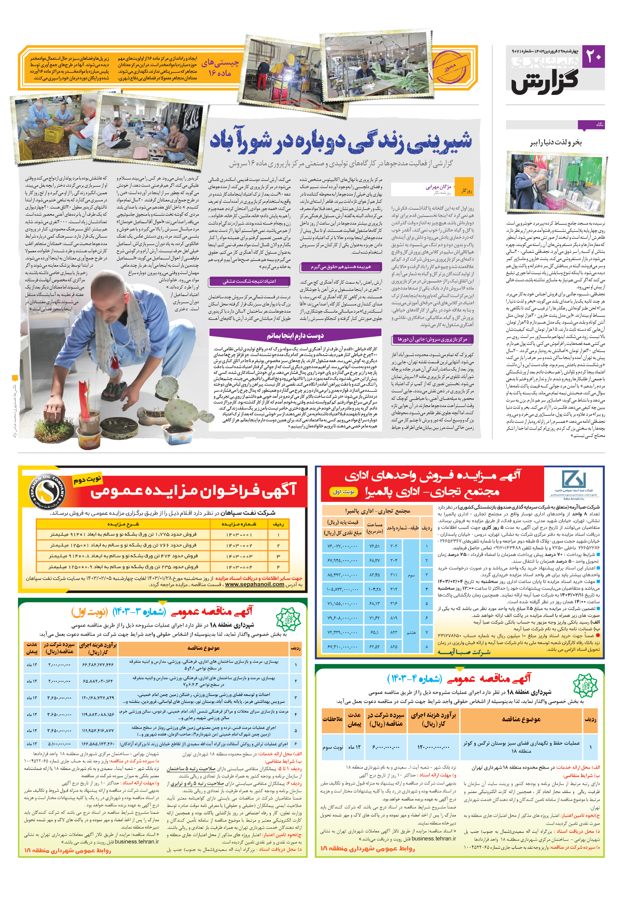 همشهری گزارش