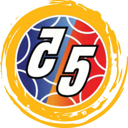 دومین برد نزدیک شمسایی