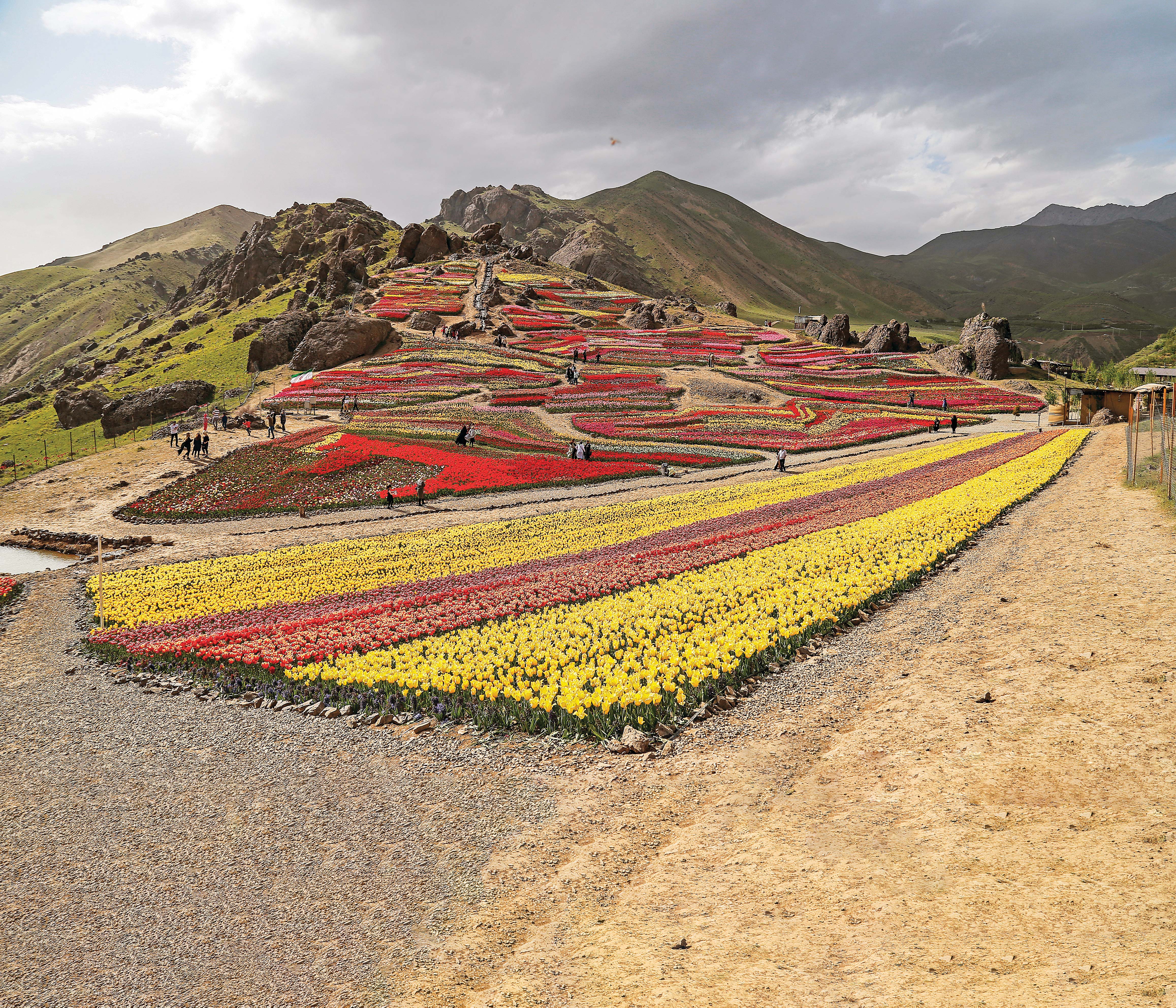 بزن بریم دشت